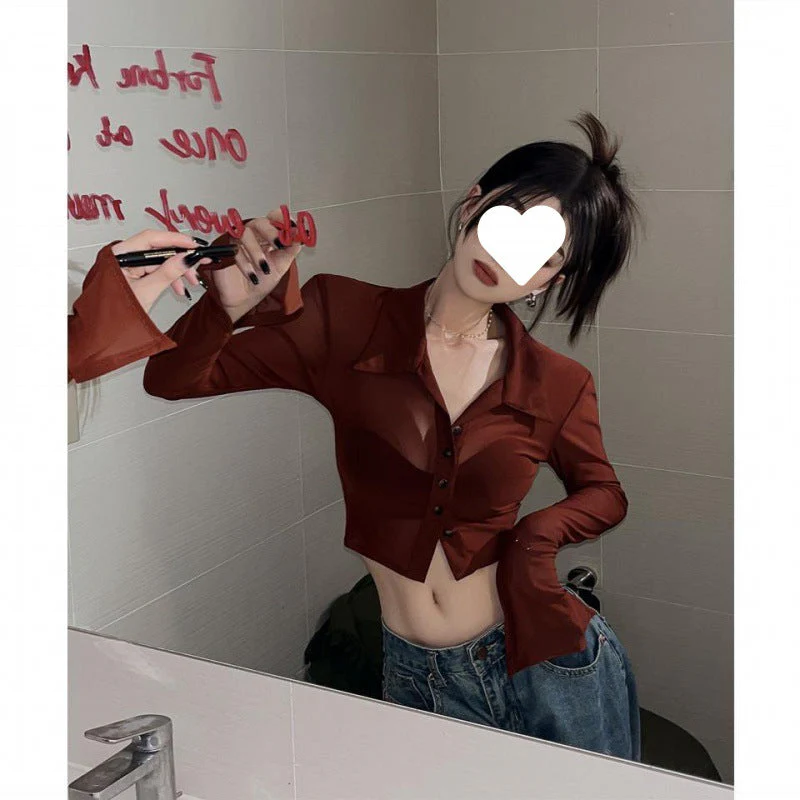 Button Front Cropped Sheer Long Sleeve Blouse - Image 4